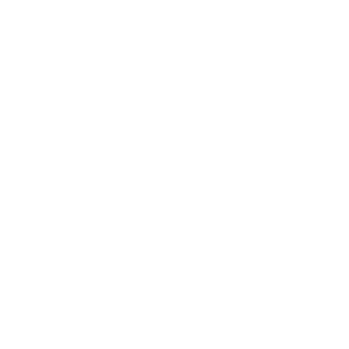 Analytics Cloud & Datawarehousing